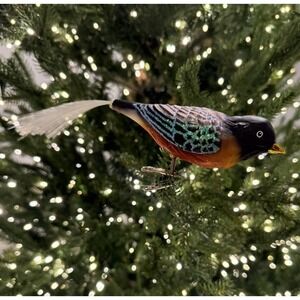 OLD WORLD CHRISTMAS ROBIN‎ CLIP-ON GLASS BIRD CHRISTMAS ORNAMENT